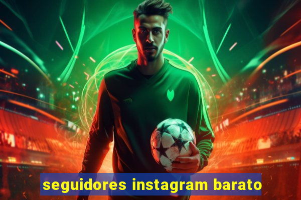 seguidores instagram barato